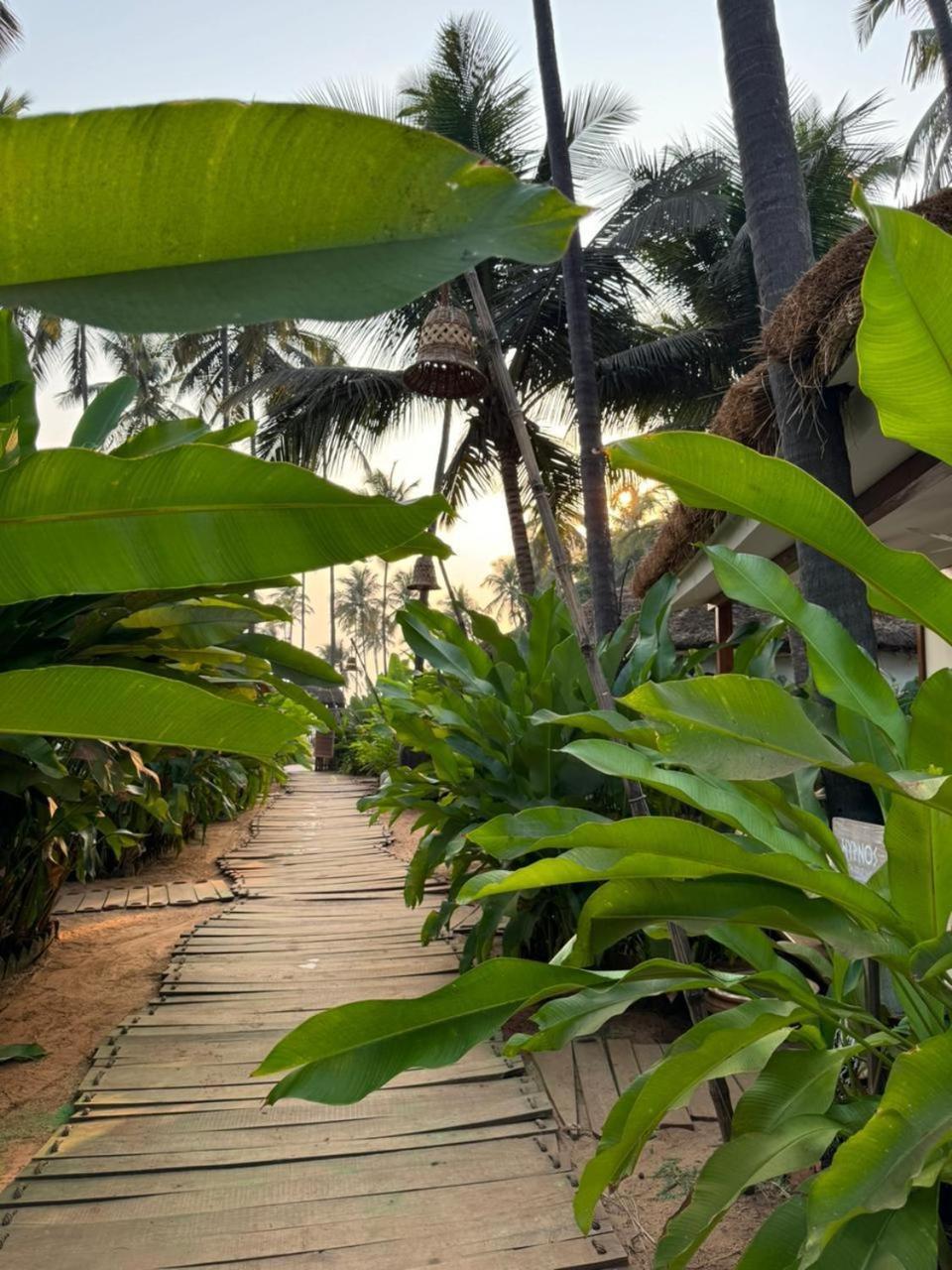 Thalassa Beach Boutique Resort Gamle Goa Eksteriør bilde